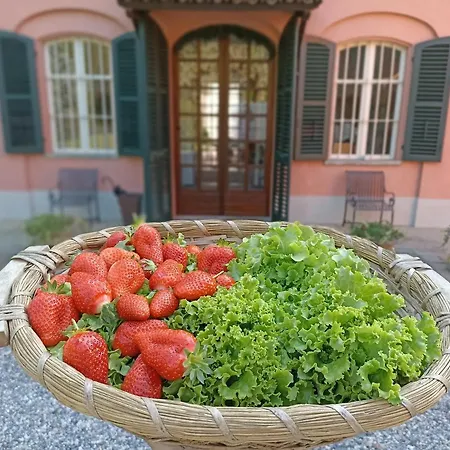 Adriana Frühstückspension