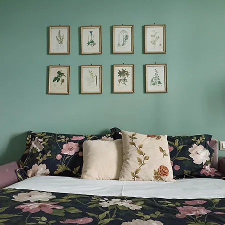 Oda ve Kahvaltı Adriana *