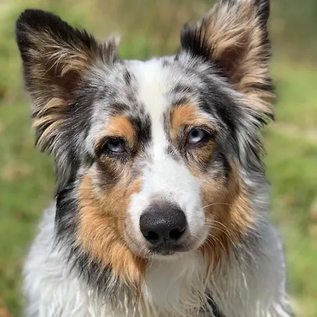 Adriana Oda ve Kahvaltı