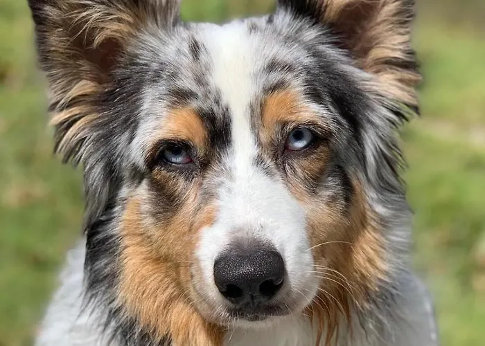 Adriana Bed & Breakfast